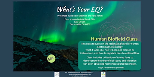 Imagem principal de Human Biofield Class - Part I