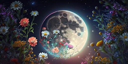 Primaire afbeelding van Flower Full Moon Sound Bath BY DONATION