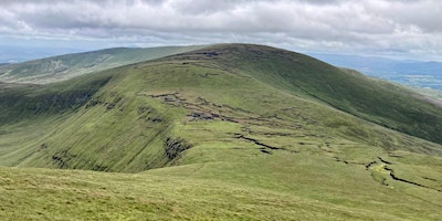 Galtee Challenge primary image