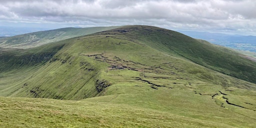 Hauptbild für Galtee Challenge