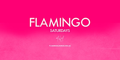 Imagem principal do evento Flamingo Saturdays