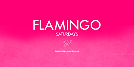 Primaire afbeelding van Flamingo Saturdays