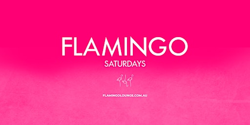Flamingo Saturdays primary image