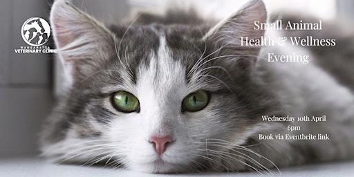 Immagine principale di Small Animal  Health & Wellness Evening 