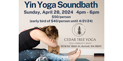 Yin Yoga & Sound Bath primary image