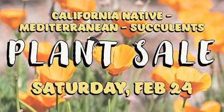 Plant Sale | California native - Mediterranean - Succulents primary image