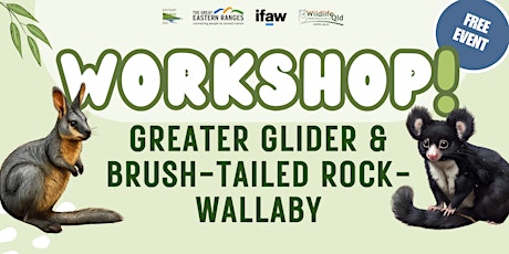 Greater Glider & Brush-tailed Rock-wallaby Workshop