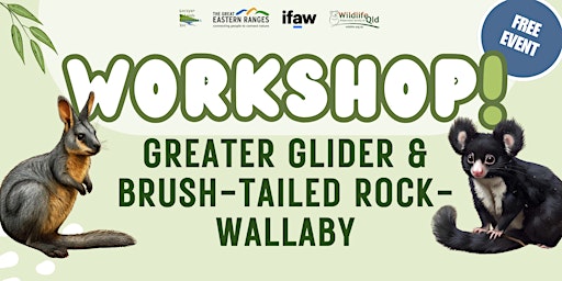 Greater Glider & Brush-tailed Rock-wallaby Workshop primary image