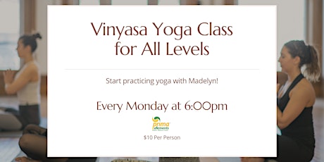 Vinyasa Yoga Class - All Levels Welcome primary image