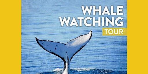 MCCS Okinawa Tours: Whale Watching Tour 2024 (March) primary image