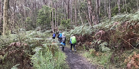 Yurrebilla Weekend Stage 1 (Men and Women) - Saturday 8th June 2024