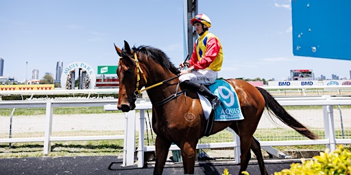 Imagem principal do evento Aquis Park Raceday