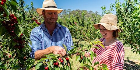 How to Do Tourism in 2024 - Hilltops (Murrumbarrah)