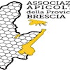 ASSOCIAZIONE APICOLTORI DELLA PROVINCIA DI BRESCIA's Logo