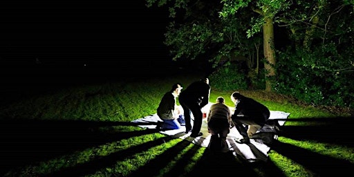 Midsummer Moth Night 2024 at Ufton Fields Nature Reserve primary image