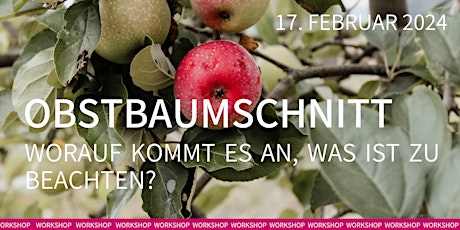 Hauptbild für Workshop  – Obstbaumschnitt: Worauf kommt es an, was ist zu beachten?