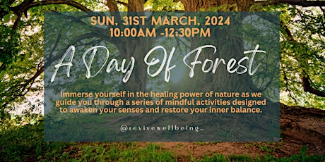 A morning of Forest Bathing, grounding and Mindfulness - March