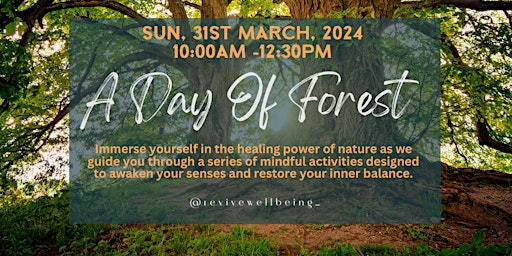 A morning of Forest Bathing, grounding and Mindfulness - March primary image
