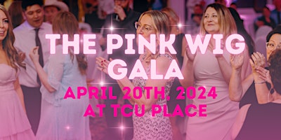 The Ninth Annual Pink Wig Foundation Gala primary image