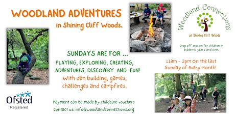 Woodland Adventures for Kids  in Shining Cliff Woods primary image