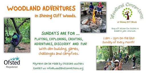 Imagen principal de Woodland Adventures for Kids  in Shining Cliff Woods