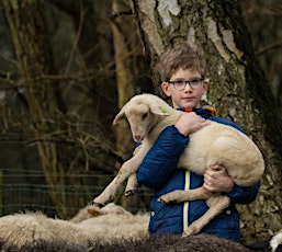 Kinderactiviteit ‘Lammetjes aaien’ op Hof Espelo, Enschede