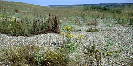 Hauptbild für Circuit of Cley (11 April)