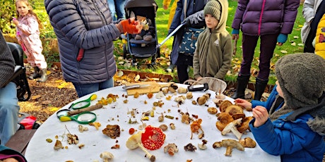 Autumn Fruits and Fungi Foray