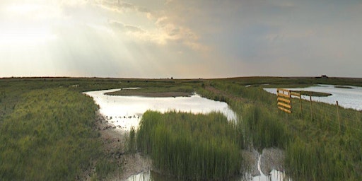 Primaire afbeelding van Leg-stretch to Salthouse (26 June)