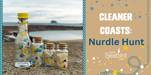 Imagem principal do evento Cleaner Coasts: Nurdle Hunt