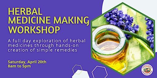 Primaire afbeelding van Herbal Medicine Making Workshop