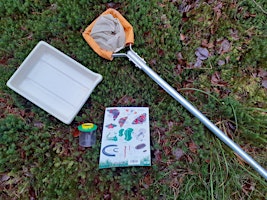 Imagen principal de Pond Dipping and Bug Hunt at Insch Meadows