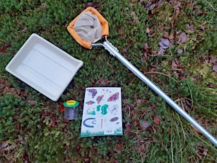 Pond Dipping and Bug Hunt at Insch Meadows