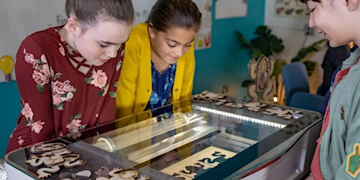 Hauptbild für Intro lasercutter: 8 +