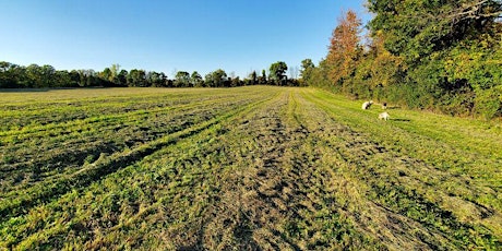 Pitch a Tent and Experience Totality at Meadeville Farm