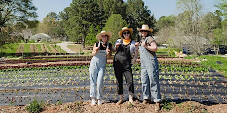 Get Your Hands Dirty - Volunteer at Serenbe Farms