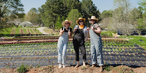 Primaire afbeelding van Get Your Hands Dirty - Volunteer at Serenbe Farms