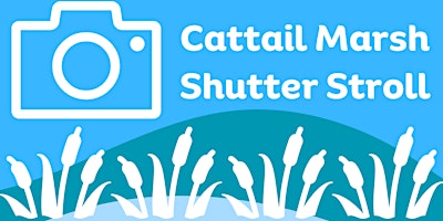 Cattail Marsh Shutter Stroll primary image