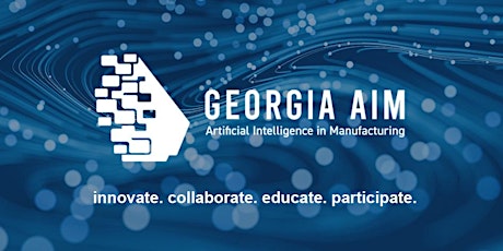 Georgia AIM Focus Group: Southern Georgia