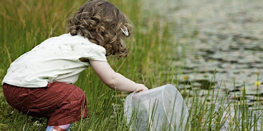 Imagem principal de Wild Tots: Pond dipping in Holywells Park (E9P 2814)