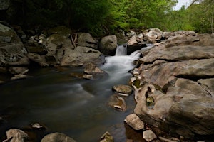 Imagem principal do evento Master Your Camera Controls and Composition in the Field - Photo Workshops