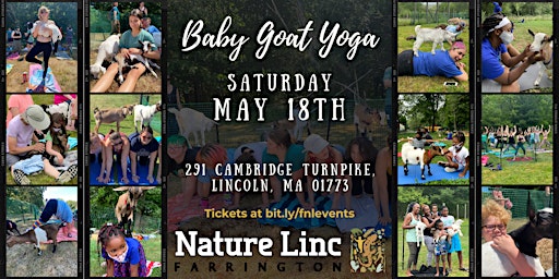 Imagem principal do evento Baby Goat Yoga at Farrington Nature Linc - May 2024