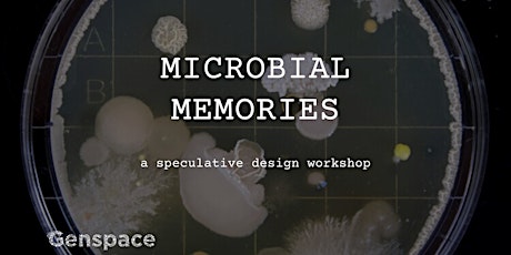 Microbial Memories: A Speculative Design Workshop