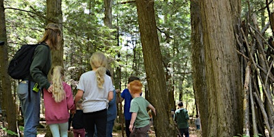 Hauptbild für Nature Academy - Summer 2024