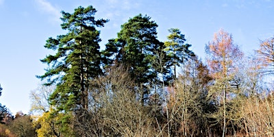 Primaire afbeelding van Gifts in wills event at Warburg Nature Reserve, Oxfordshire