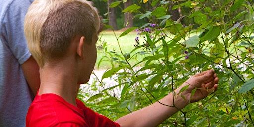 Primaire afbeelding van Nature Club