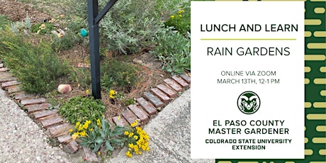 Rain Gardens primary image