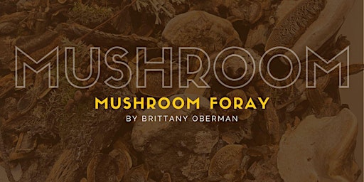 Hauptbild für Mushroom Foray