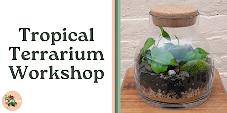 Tropical Terrarium Workshop