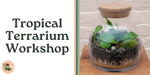 Tropical Terrarium Workshop primary image